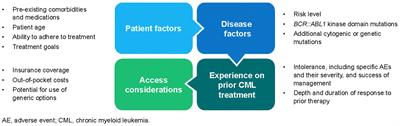 Exploring treatment decision-making in chronic myeloid leukemia in chronic phase